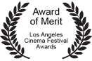 Award of Merit, Los Angeles Cinema Festival Awards