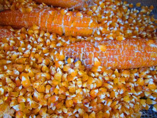 Dried Corn Chicos