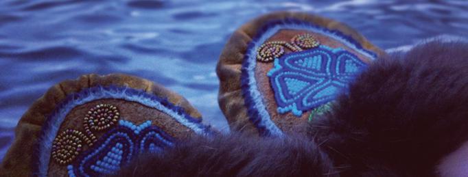Image still from Growing Native. Photo by Vision Maker Media.